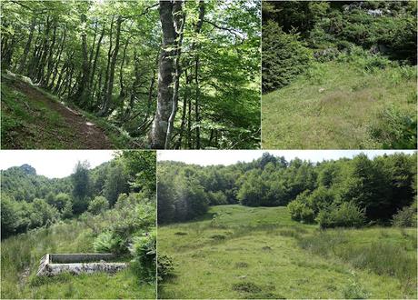 Tarna-La Vega Texéu-La Cerra Altu Pasu