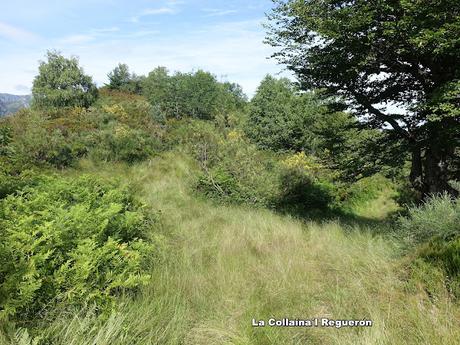 Tarna-La Vega Texéu-La Cerra Altu Pasu