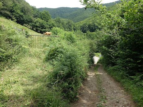 Tarna-La Vega Texéu-La Cerra Altu Pasu