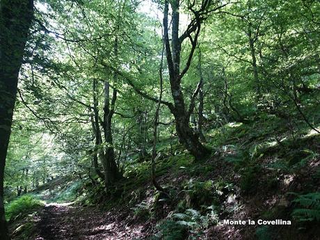 Tarna-La Vega Texéu-La Cerra Altu Pasu