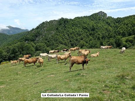 Tarna-La Vega Texéu-La Cerra Altu Pasu