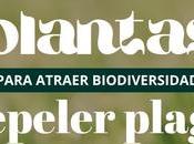 Plantas para atraer biodiversidad jardín huerto olvidarte plagas)
