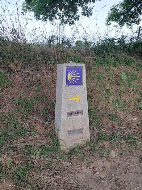 CAMINO DE SANTIAGO