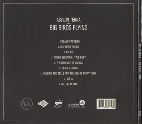 Asylon Terra - Big Birds Flying (2020)