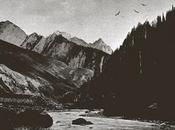 Asylon Terra Birds Flying (2020)