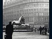 Leones muertos (Salamandra)