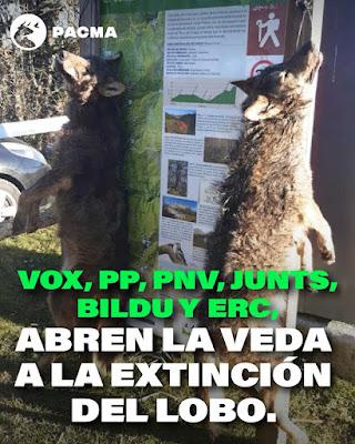 El Congreso que cedió a los bulos y abrió la veda para cazar al lobo.