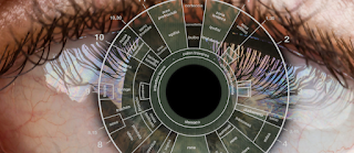 Qué es la iridología.