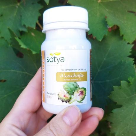 Descubre los Beneficios de la Alcachofera Descubre los Beneficios de la Alcachofera