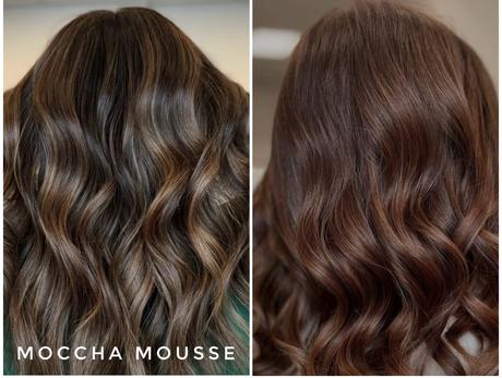 Color pelo castaño oscuro claro tendencia rojizo rubio caoba platinado color tinturas L’Oréal Garnier Koleston wella Straberry balón Brat black moccha mousse ruby red Coppel melt