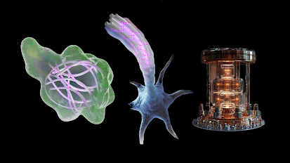 Un nuevo estudio sugiere que el cuerpo humano podría procesar información cuántica más rápido y con mayor eficiencia que las computadoras más avanzadas