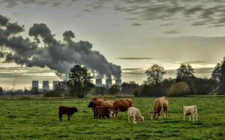 Han sido 36 empresas contaminantes las responsables en 2023 del 50% de las emisiones mundiales del sector de combustibles fósiles y cemento