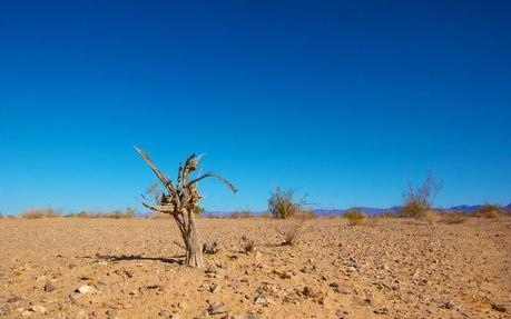 Las 36 empresas contaminantes que impulsan la crisis climática: ¿qué puedes hacer al respecto?