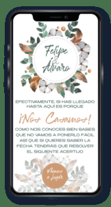 Invitaciones de boda digitales vs. en papel: ¿Cuál es la mejor opción para tu gran día? 14