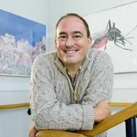 «La historia universal de nosotros», de Tim Coulson