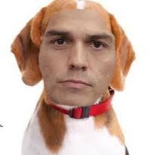 La perrocracia española La perrocracia española