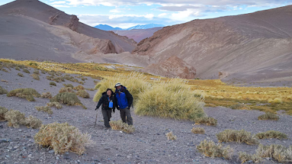 Quién era Ichhutherium wayra, el nuevo mamífero fósil hallado en Argentina a más de 3.900 metros de altura Quién era Ichhutherium wayra, el nuevo mamífero fósil hallado en Argentina a más de 3.900 metros de altura