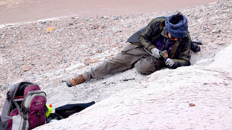 Quién era Ichhutherium wayra, el nuevo mamífero fósil hallado en Argentina a más de 3.900 metros de altura Quién era Ichhutherium wayra, el nuevo mamífero fósil hallado en Argentina a más de 3.900 metros de altura