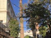 Mercados Gastronómicos Barcelona, citas imprescindibles abril