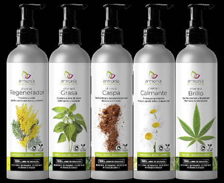 Rizos perfectos Rizos perfectos