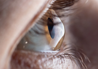 La terapia de células madre parece prometedora para lesiones corneales.