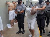 Ocho puntos bastan para Tren Aragua: arbitraria guía Trump perseguir venezolanos