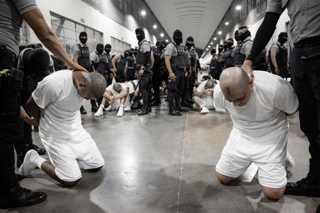 Ocho puntos bastan para ser del Tren de Aragua: la arbitraria guía de Trump para perseguir a venezolanos