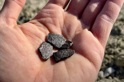 Encuentran en Utah huevos fósiles de dinosaurios y un cocodrilo desconocido de hace 100 millones de años Encuentran en Utah huevos fósiles de dinosaurios y un cocodrilo desconocido de hace 100 millones de años