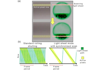 Científicos usan física cuántica y cámaras ultrasensibles para observar embriones vivos sin dañarlos Científicos usan física cuántica y cámaras ultrasensibles para observar embriones vivos sin dañarlos