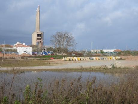 Chorlitejos en lo que queda sin construir de La Catalana Chorlitejos en lo que queda sin construir de La Catalana