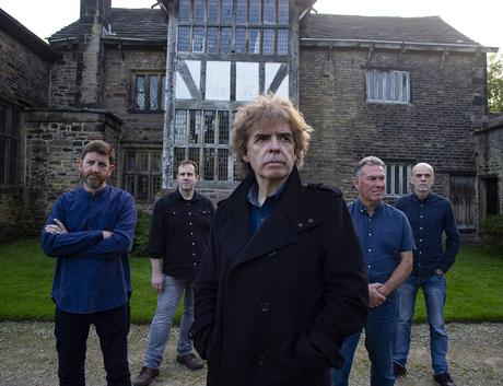 IQ - Dominion (2025)