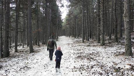 Más de 30 rutas para descubrir la Cerdanya