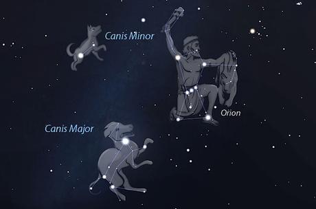 Canes, los perros en la antigua Roma Canes, los perros en la antigua Roma