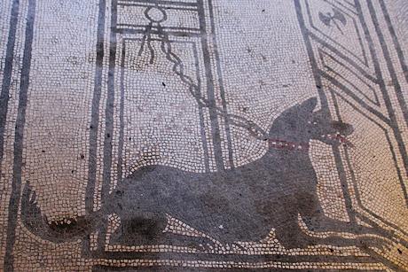 Canes, los perros en la antigua Roma Canes, los perros en la antigua Roma