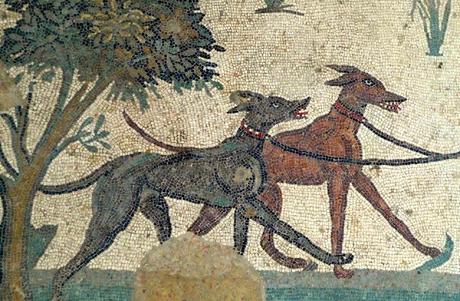 Canes, los perros en la antigua Roma Canes, los perros en la antigua Roma