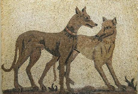 Canes, los perros en la antigua Roma Canes, los perros en la antigua Roma