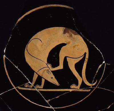 Canes, los perros en la antigua Roma Canes, los perros en la antigua Roma