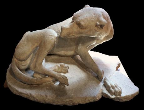 Canes, los perros en la antigua Roma Canes, los perros en la antigua Roma