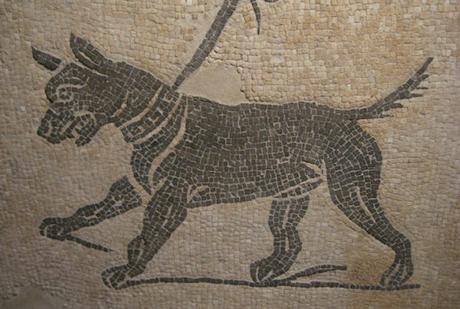 Canes, los perros en la antigua Roma Canes, los perros en la antigua Roma