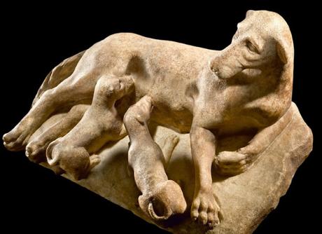 Canes, los perros en la antigua Roma Canes, los perros en la antigua Roma