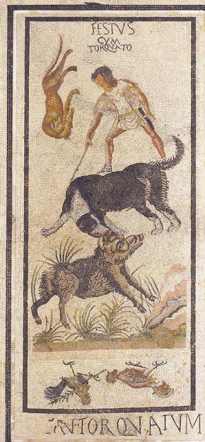 Canes, los perros en la antigua Roma Canes, los perros en la antigua Roma