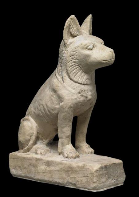 Canes, los perros en la antigua Roma Canes, los perros en la antigua Roma