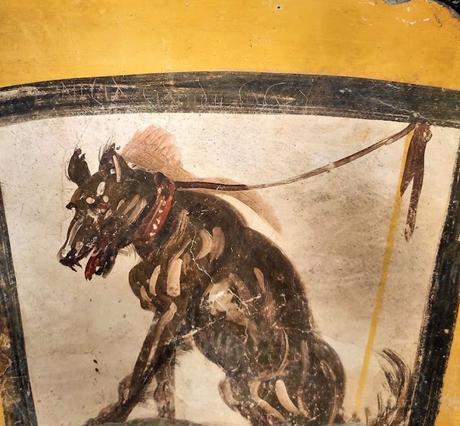 Canes, los perros en la antigua Roma Canes, los perros en la antigua Roma