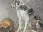 Canes, perros antigua Roma