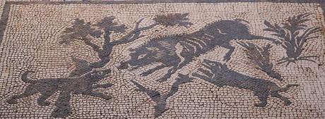 Canes, los perros en la antigua Roma Canes, los perros en la antigua Roma