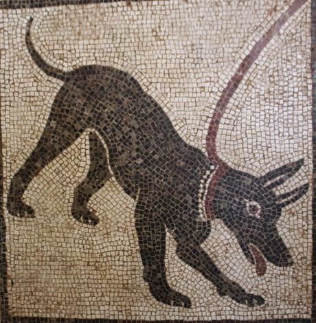 Canes, los perros en la antigua Roma Canes, los perros en la antigua Roma