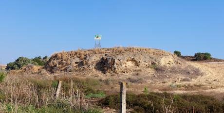 ATENEO DEL VINO: sábado 29 de marzo de 2025: Visita a las Bodegas Ligures ATENEO DEL VINO: sábado 29 de marzo de 2025: Visita a las Bodegas Ligures