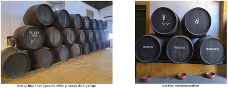 ATENEO DEL VINO: sábado 29 de marzo de 2025: Visita a las Bodegas Ligures