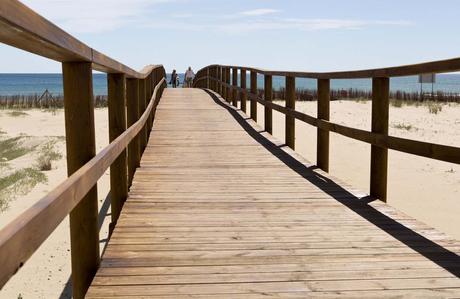 Descubre las 6 Playas de Elche: Un Paraíso Natural en la Costa Blanca Descubre las 6 Playas de Elche: Un Paraíso Natural en la Costa Blanca