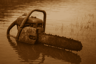 Políticas de la crueldad: El huevo de la serpiente